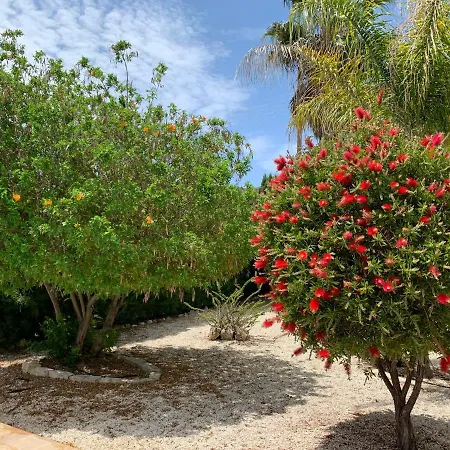 Gorgeous Bungalow By Bay With Private Big Pool Landcaped Gardenwifi فيلة بيسوري